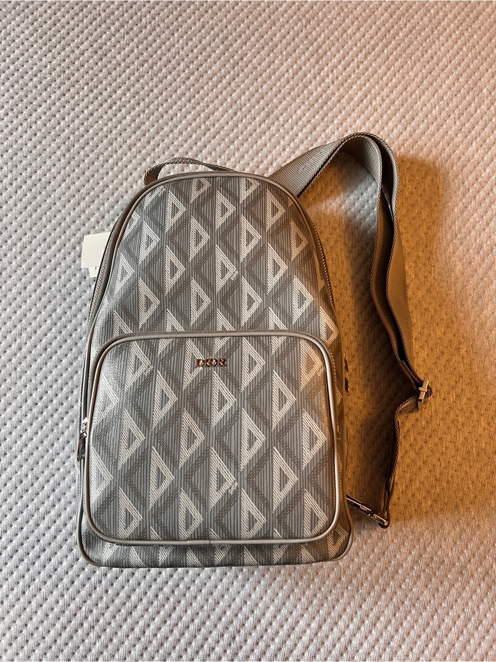 Dior Gray Geometric Monogram Backpack